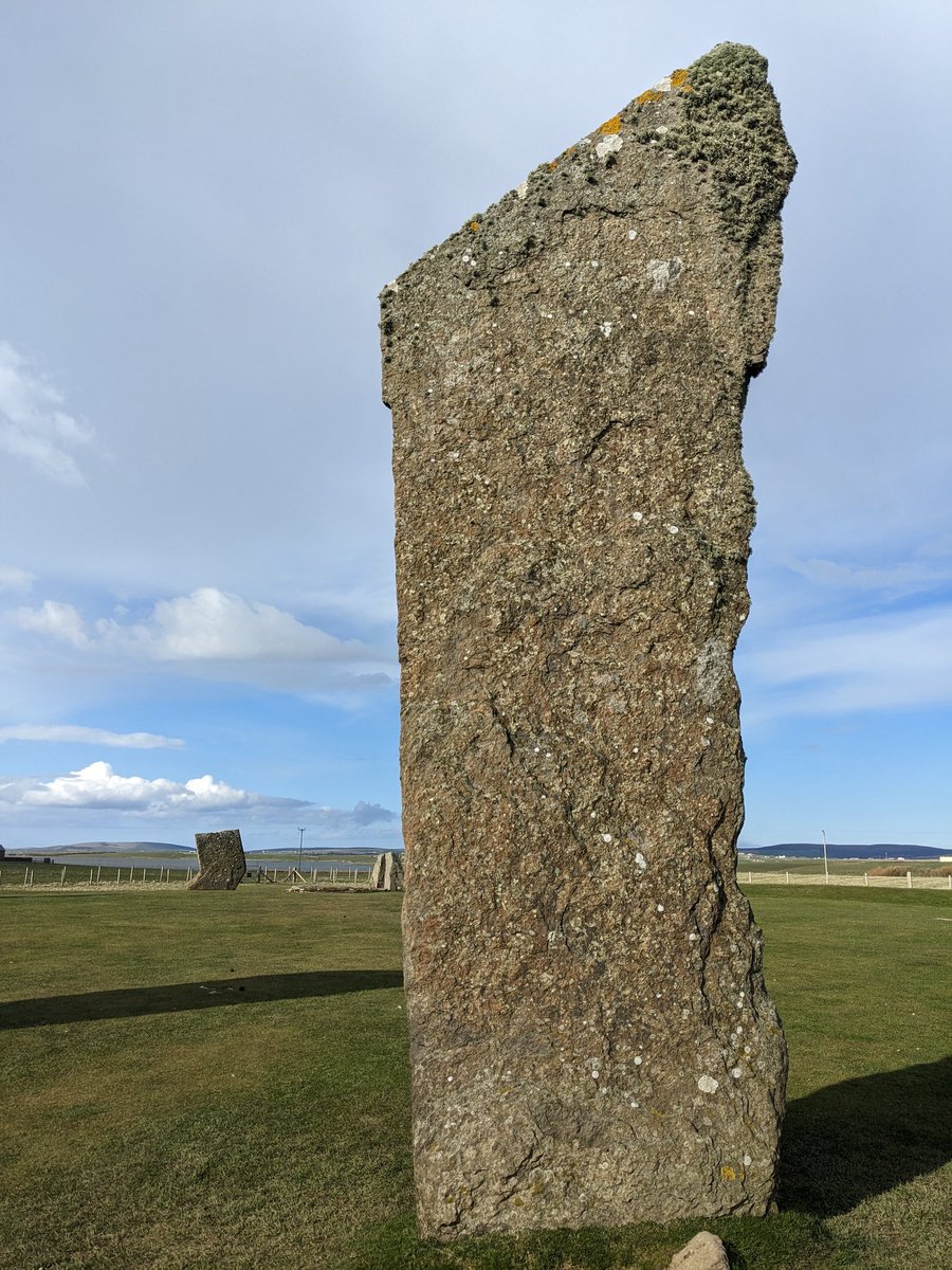 matthewmagee tweet media