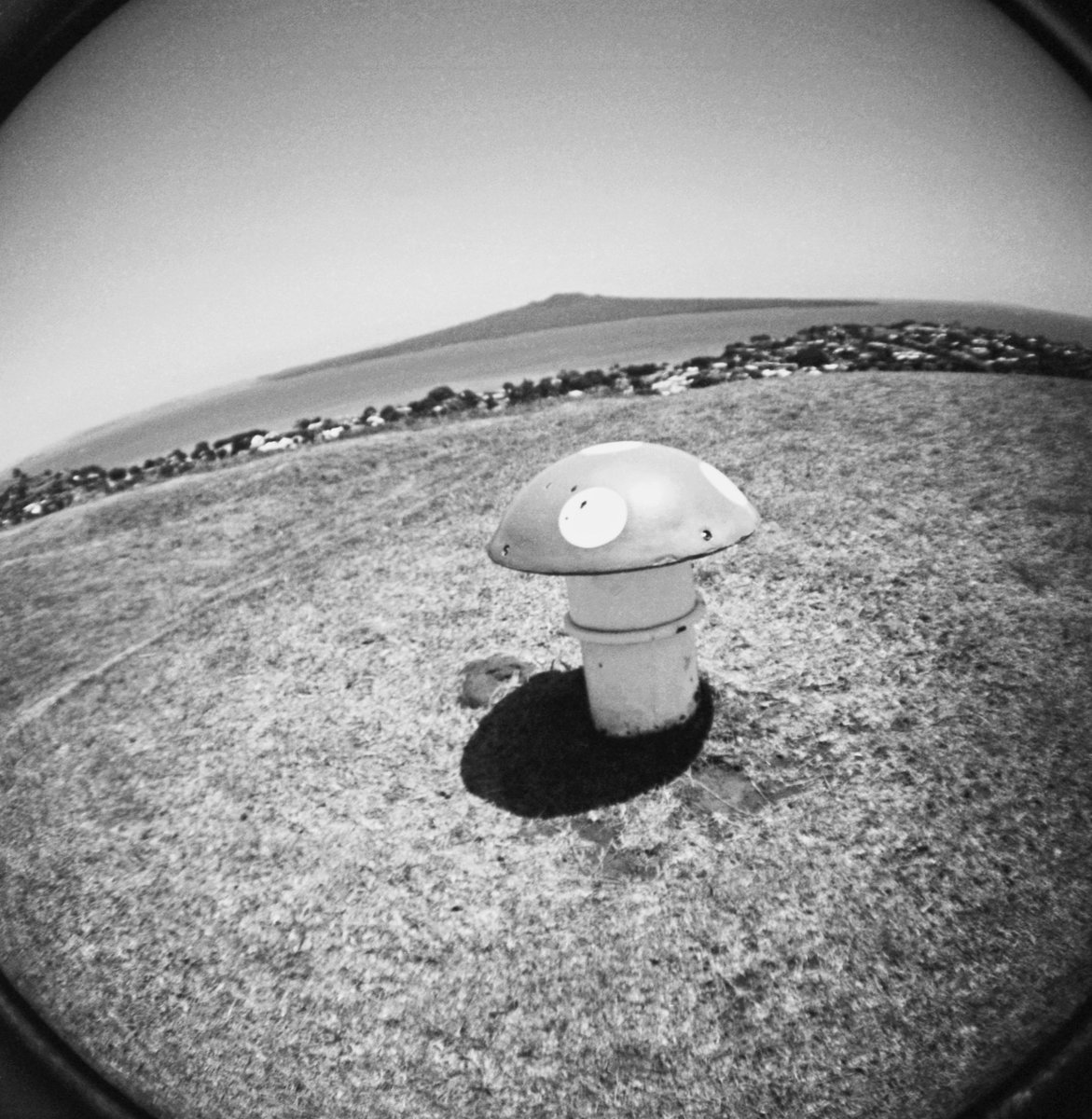 NatashaBarret18's tweet photo. Mushroom air vents π
#plasticcameras #urbanwalks #Auckland #filmisalive #filmisnotdead #ilford #xp2super #nikon100 #mediumformat #fisheye #dianafplus #NorthHead #Maungauika #airvents #mushrooms https://t.co/VaUy06vRYl