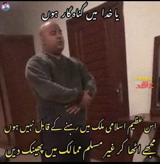 Bolo Ameeeen