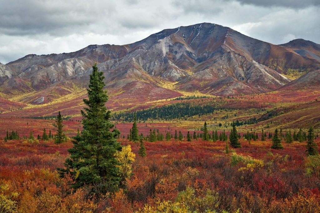TravelYour_Way's tweet photo. 15 Best fall camping destinations in the US you can’t miss
Read here : https://t.co/wCVuvWpC3T
#UScamping https://t.co/MW7el94VOi