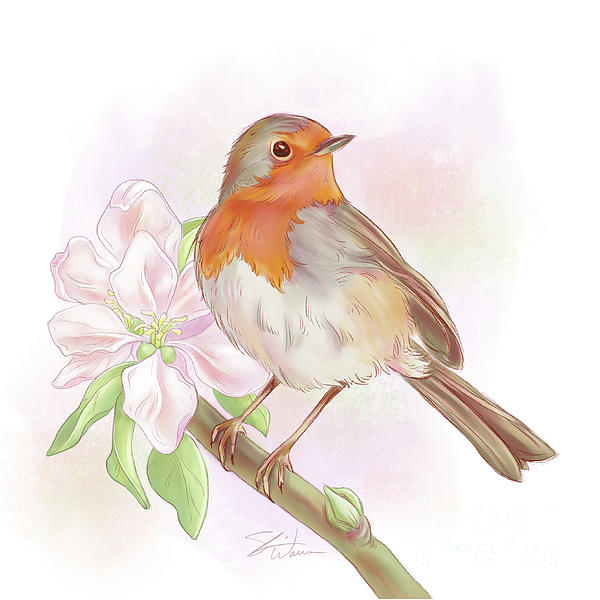 shariart's tweet photo. New artwork for sale! - "Sweet Little Robin" - https://t.co/Ngk05hj0Ns @fineartamerica https://t.co/Ev6n506q75