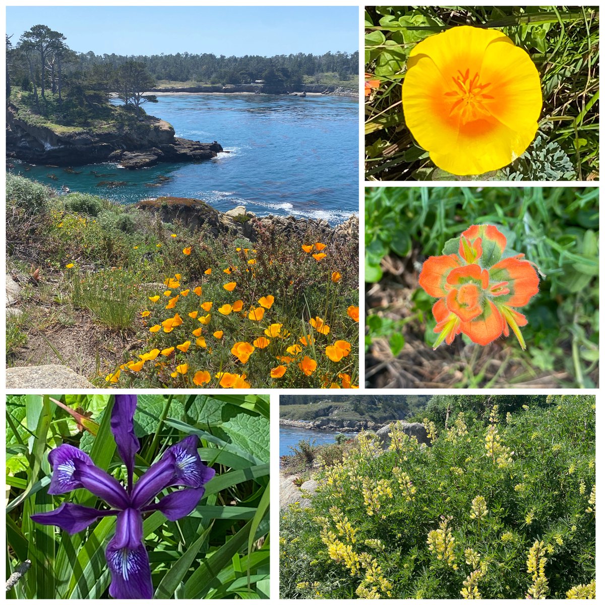 Robin Pelc, PhD tweet media