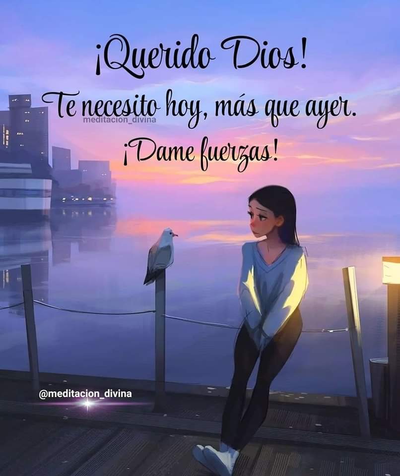 😭💔😢💔
Buenas noches