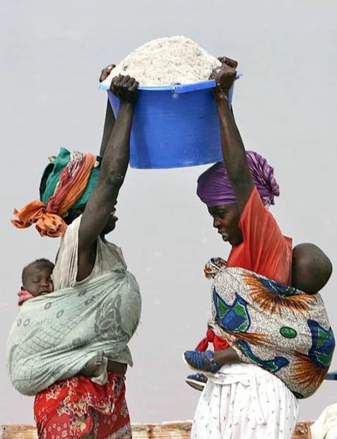 boubou_le_prof's tweet photo. Dans l'espoir de se retrouver dans un monde meilleur, passez une excellente nuit et à demain 🙏🏿 https://t.co/efKtoVHboL