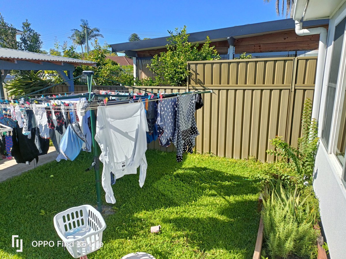 Rochelle Fernandez tweet media