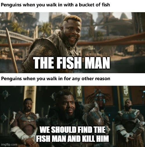 NoOvernightCamp's tweet photo. Everyone thinks that penguins are the cutest animals in the world and that's debatable but they can also be mean little jerks. #penguin https://t.co/8J74icY4op https://t.co/TZDefSSnY5