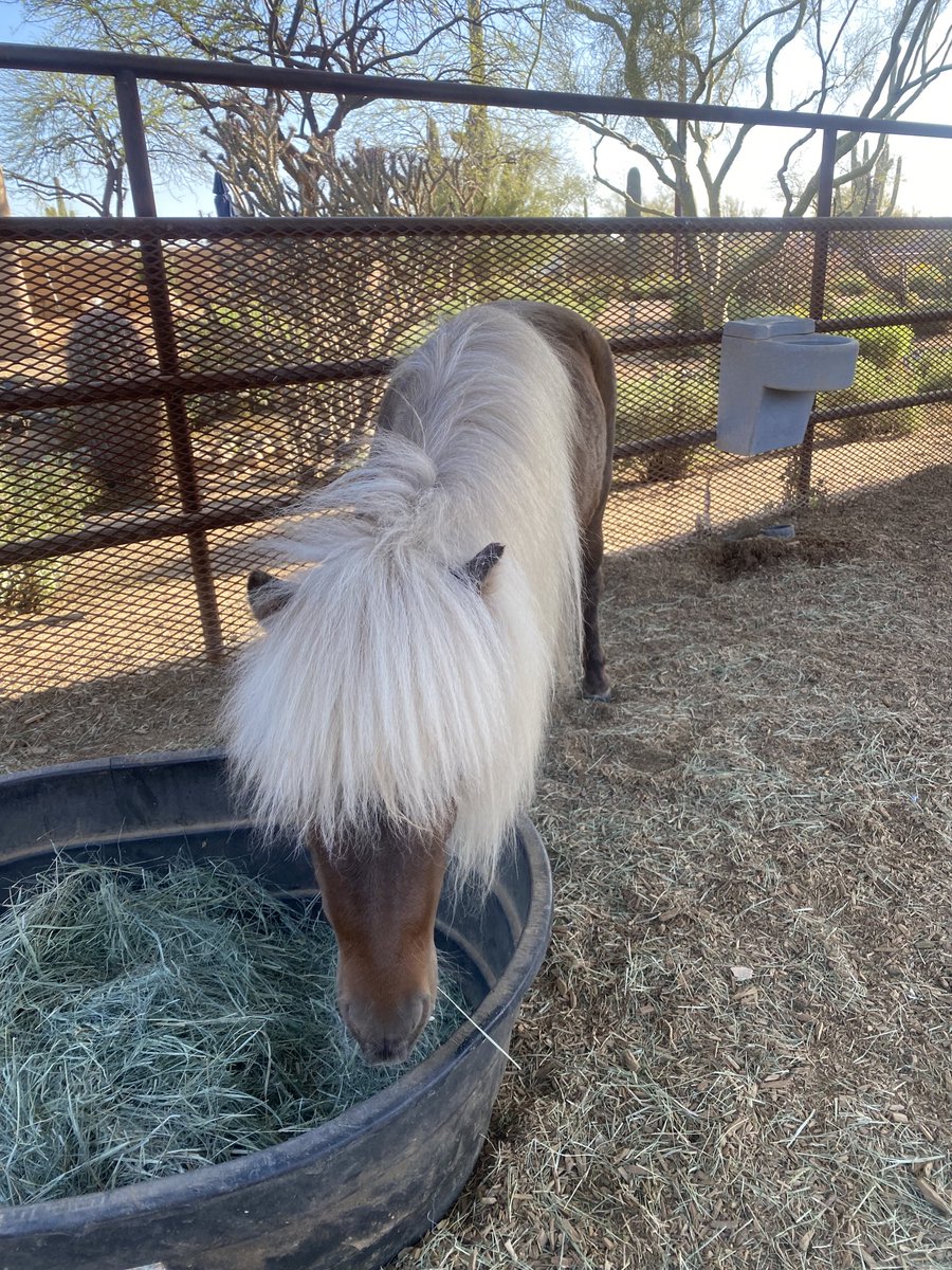 ntengler's tweet photo. New digs @ #zenbarn where calm prevails and the food keeps coming. https://t.co/QyVA55Mx3y