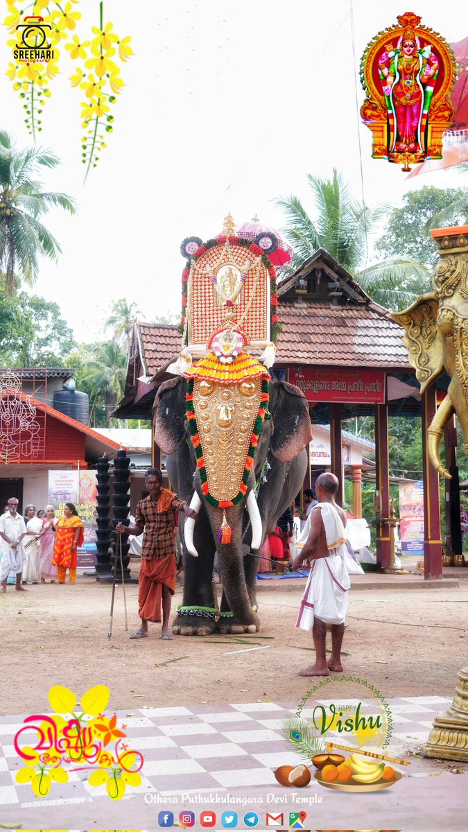 DeviOthera's tweet photo. ഏവർക്കും സമ്പൽസമൃദ്ധിയുടെയും ഐശ്വര്യത്തിന്റെയും നന്മനിറഞ്ഞ ✨വിഷു ആശംസകൾ....💛
💞 ▶️ @DeviOthera 💕
#ഓതറ_പുതുക്കുളങ്ങര_ദേവീക്ഷേത്രം🕉️
പുതുക്കുളങ്ങര അമ്മേ പ്രസീദ പ്രസീദ🙏🏻
#Puthukkulangara
#പുതക്കുളങ്ങര #DeviTemple #Othera #PuthukkulangaraAmma #vishu https://t.co/q2brmV7EOe