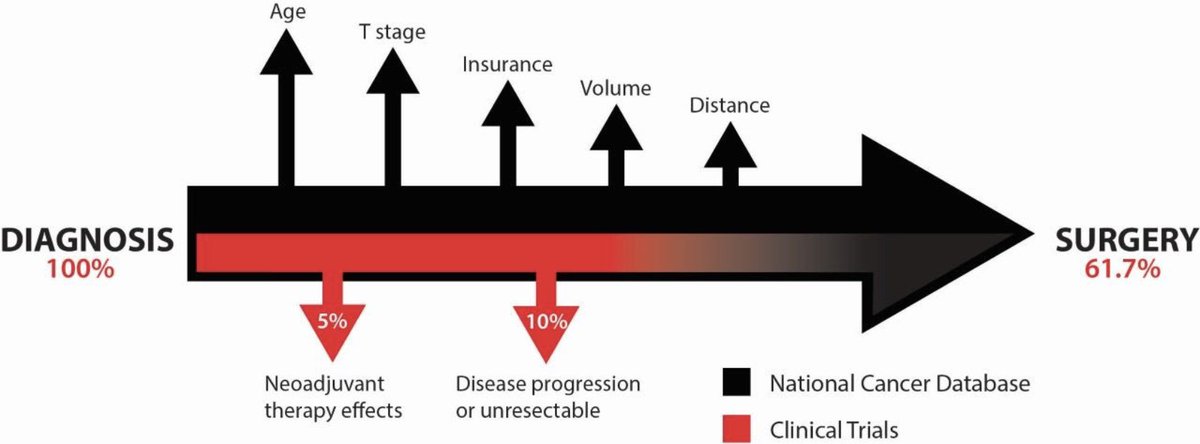 Richard Hoehn (@richard_hoehn) on Twitter photo Congrats <a href="/HannaKakish/">Hanna Kakish حنا قاقيش</a> on another great study.
Using a combination of clinical trials data and NCDB we explored reasons for non-surgical management of stage 1-3 gastric cancer
<a href="/UHSurgOncology/">UH Surgical Oncology</a> <a href="/UHRISES/">UH RISES</a> <a href="/SurgeryUH/">UH Department of Surgery</a> <a href="/UH_RE_Institute/">UH Research & Education Institute</a> <a href="/SurgJournal/">SURGERY Journal</a>
rdcu.be/c9MxD Congrats <a href="/HannaKakish/">Hanna Kakish حنا قاقيش</a> on another great study.
Using a combination of clinical trials data and NCDB we explored reasons for non-surgical management of stage 1-3 gastric cancer
<a href="/UHSurgOncology/">UH Surgical Oncology</a> <a href="/UHRISES/">UH RISES</a> <a href="/SurgeryUH/">UH Department of Surgery</a> <a href="/UH_RE_Institute/">UH Research & Education Institute</a> <a href="/SurgJournal/">SURGERY Journal</a>
rdcu.be/c9MxD