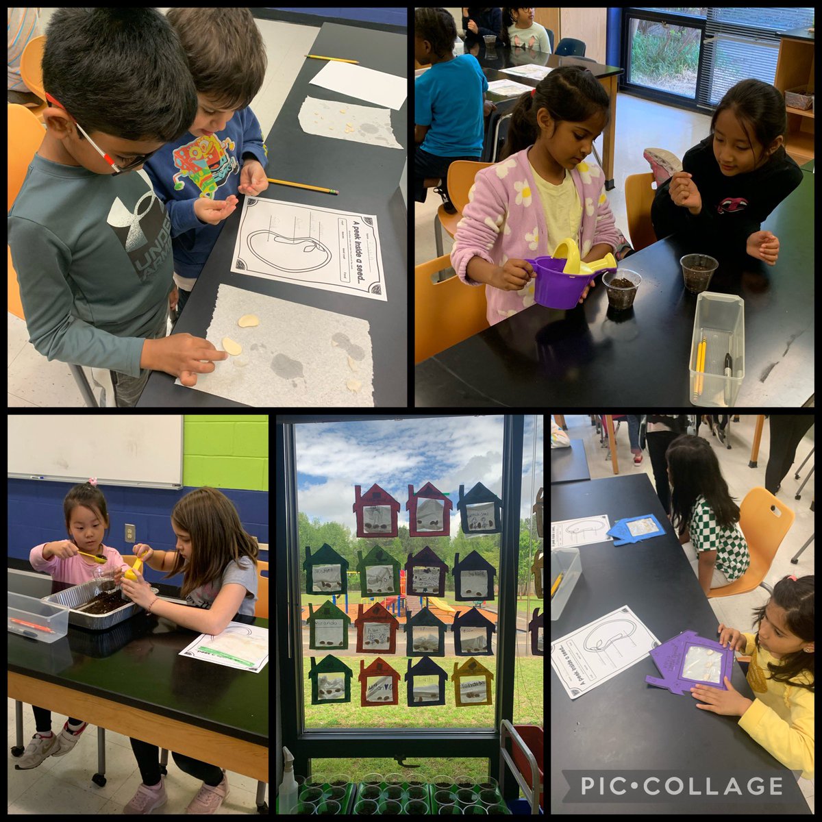 First grade had a blast in the STEM lab this week learning about the needs of living things! We investigated the parts of a seed, created environments for seeds to grow, and we cannot wait to see our sprouts! #LWESTEM