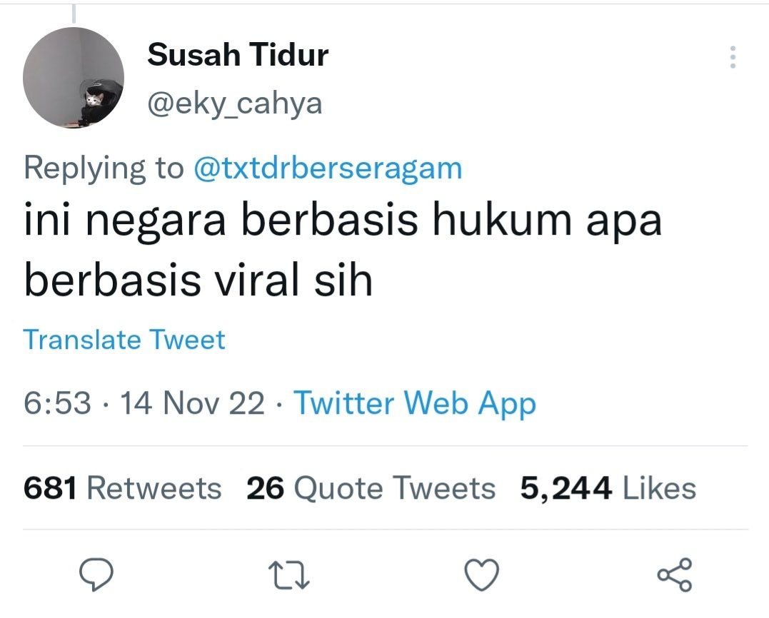 🐳 tweet media