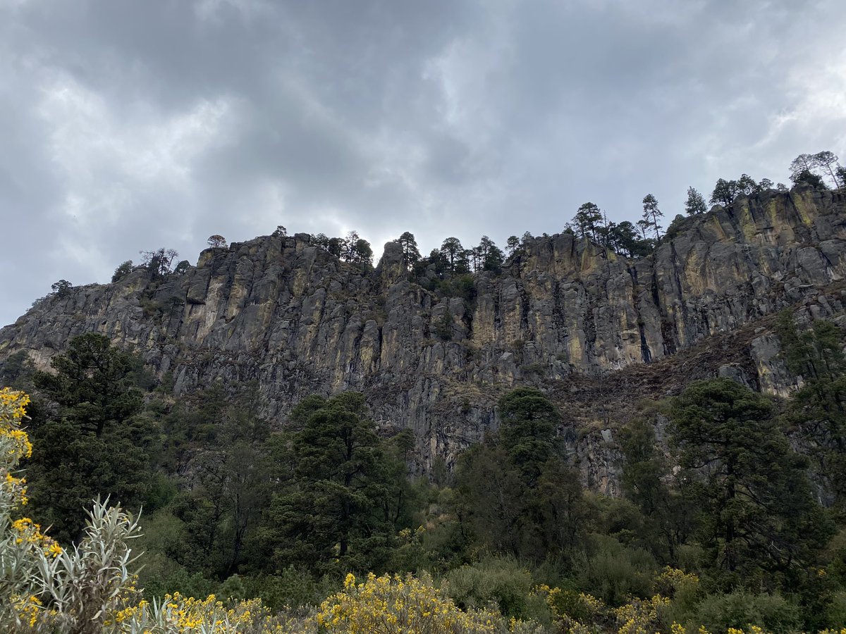 Isak_Josue's tweet photo. Hay placer en los bosques sin senderos, hay éxtasis en una costa solitaria. Está la soledad donde nadie se inmiscuye, por el oceáno profundo y la música con su rugido: No amo menos al hombre pero si más a la naturaleza.
Lord Byron https://t.co/vJzZItHDzD