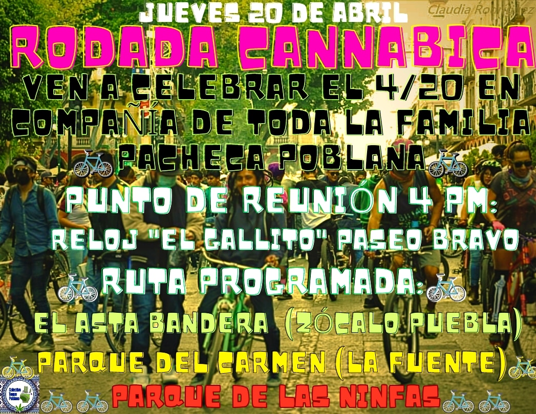 ToquePoblano's tweet photo. Nos vemos jueves 20 de Abril - 4 Pm
Punto de reunión: reloj del gallito en Paseo Bravo para rodar y activar algunas zonas #420 del centro histórico de Puebla
#RodadaCannabicaPuebla
#Puebla420 #420puebla
#comunidadcannabicapuebla
#cannabis #mariguana #mota
 #weed #420community https://t.co/bP40UcSLA6