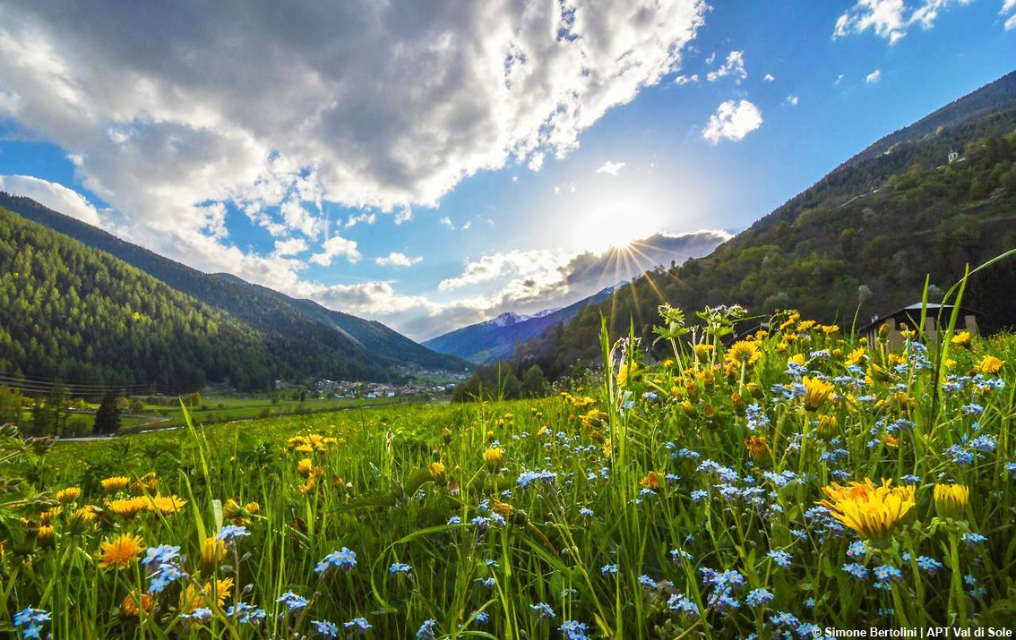TurismoItaliaNw's tweet photo. TRENTINO | Tarassaco, toccasana per pelle e anima: lo Zicoria FestiVal di Sole aiuta a scoprirne le virtù segrete, dal 21 al 25 aprile e dal 28 aprile al 1° maggio
Leggi la notizia https://t.co/PR8XhQyg9C
#valdirabbi #trentino #valdisole #turismo #tarassaco @AptValdiSole https://t.co/mvsEKKgEAI