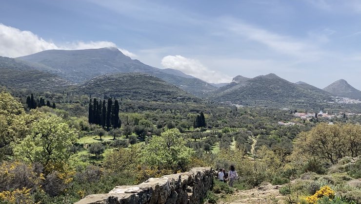 The Greek Centre for Compassion Focused Therapy tweet media