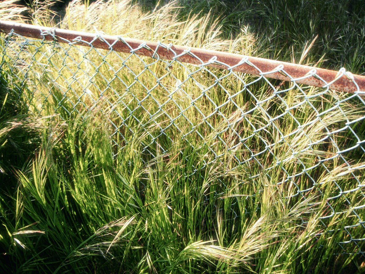 2dbert's tweet image. 