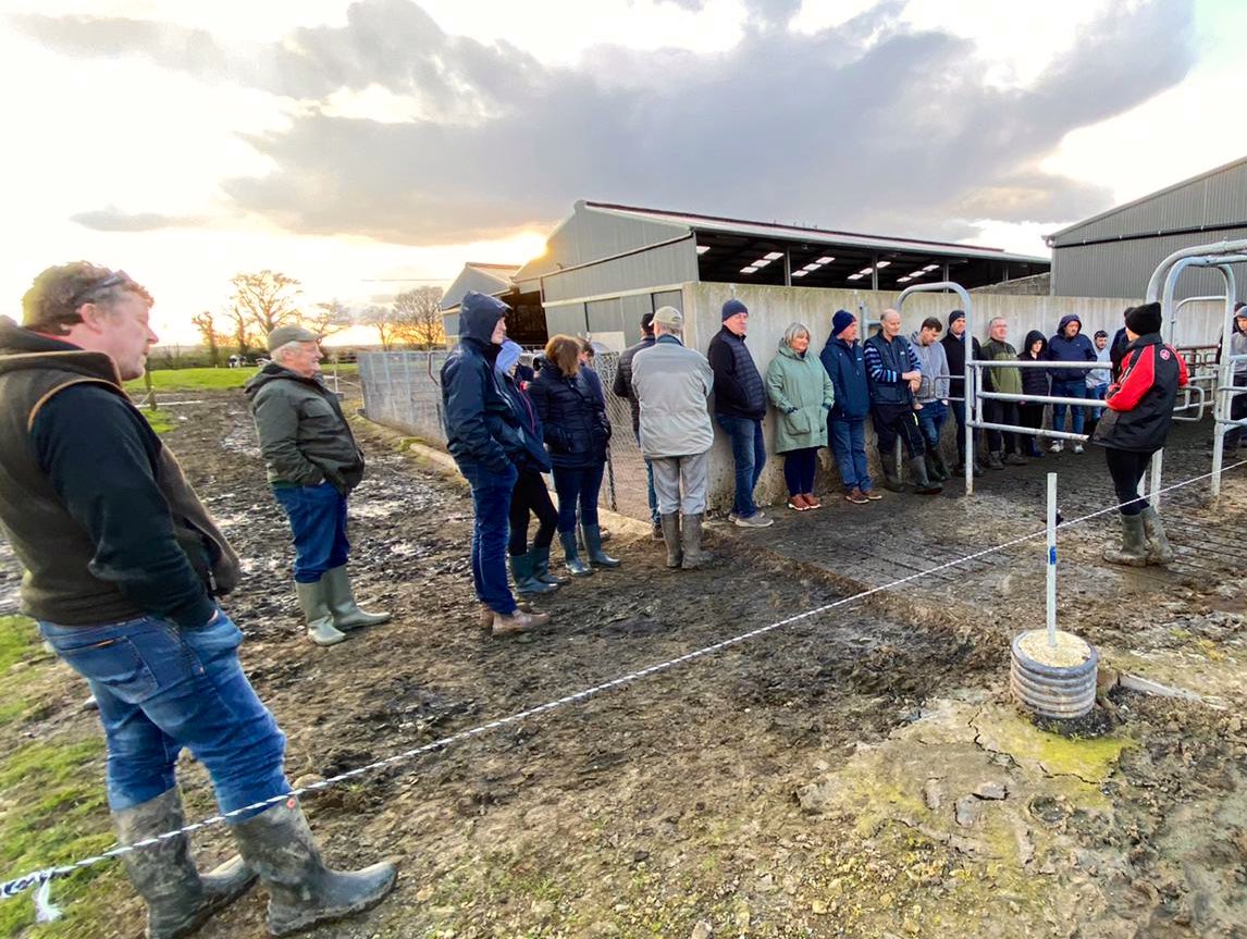 lelyrobotman's tweet photo. Thanks to @whlanwillie for hosting last nights open evening ! Great example of how to have an efficient successful grass based dairy business while also enjoying a career off the  farm. 
30% of our customers are part time dairy farmers !!
#RoboticMilking #Ireland #grasstomilk https://t.co/SHq78vuZT1