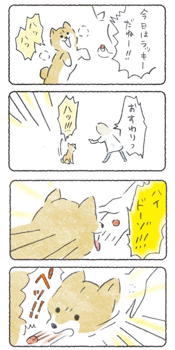 犬と一緒の生活を発信してます🐕🤸‍♀️
#拡散希望 
#漫画が読めるハッシュタグ https://t.co/4caLIDtMPf