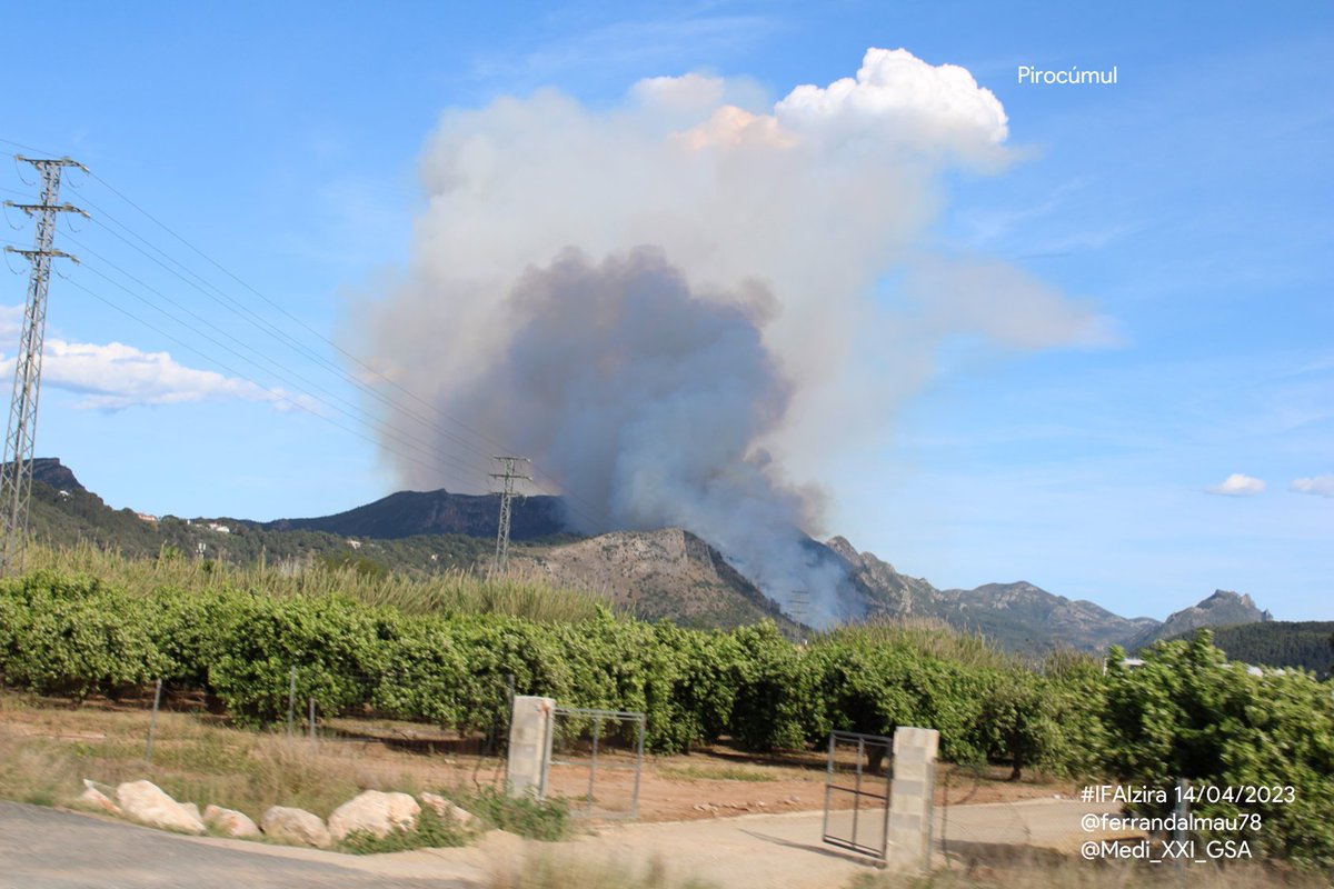 ferrandalmau78's tweet photo. En molt poques hectàrees cremades #IFAlzira ha generat un pirocúmul. Ha fet una primera carrera intensa (per topografia) i al coronar la vessant, s'ha alineat amb la carena empentat pel vent de ponent. Abans per a veure #PyCu #flammagenitus #Pirocúmul calien centenars d'hectàrees https://t.co/KHdmmARdXD
