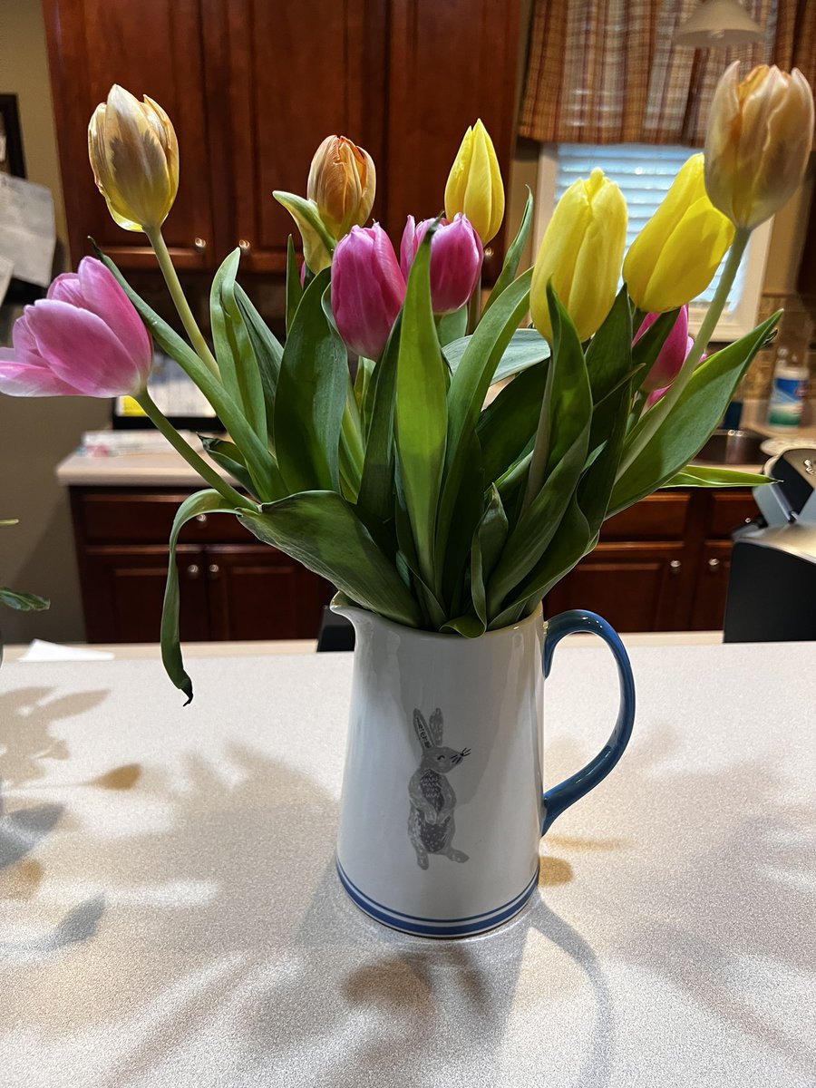 Fuquay-Varina ES tweet media