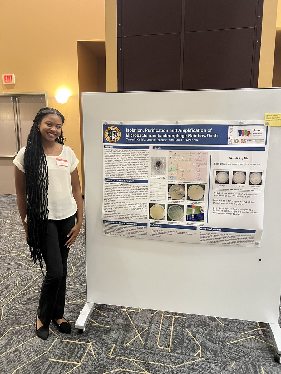 XU Exponential tweet media