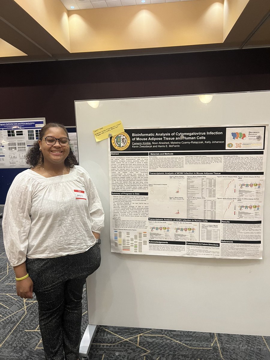 XU Exponential tweet media