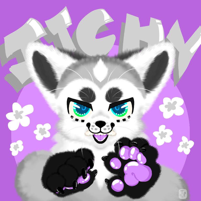 ₊˚⊹ 𐂯 puppy boy 𐂯 .ᐟ⸝⸝ tweet media