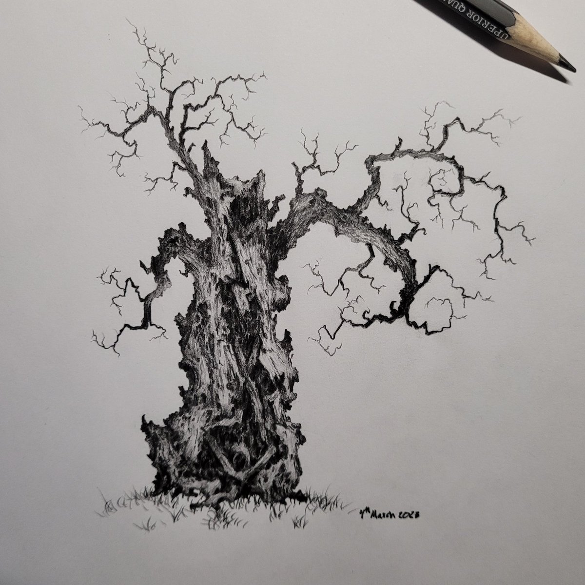 Owentree1's tweet photo. Othila 
#tree
#drawing https://t.co/qyewyk4Q4F