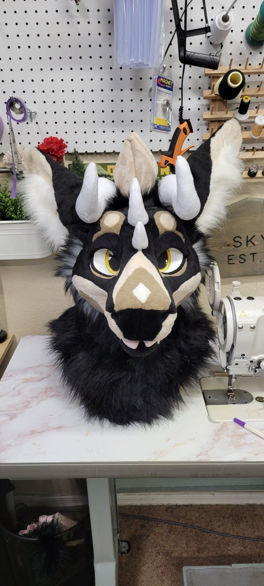 🌟🌵Theinodog🌵🌟 tweet media