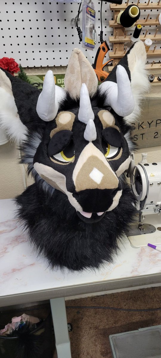 🌟🌵Theinodog🌵🌟 tweet media