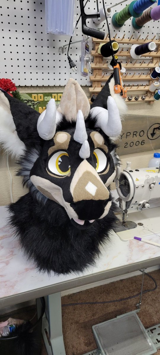 🌟🌵Theinodog🌵🌟 tweet media