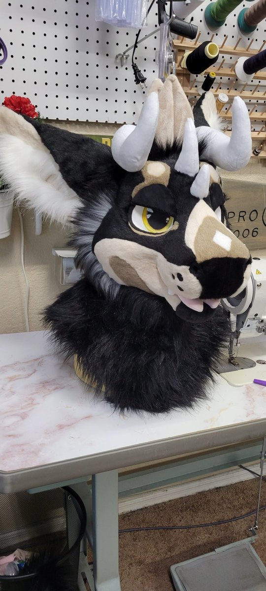 🌟🌵Theinodog🌵🌟 tweet media