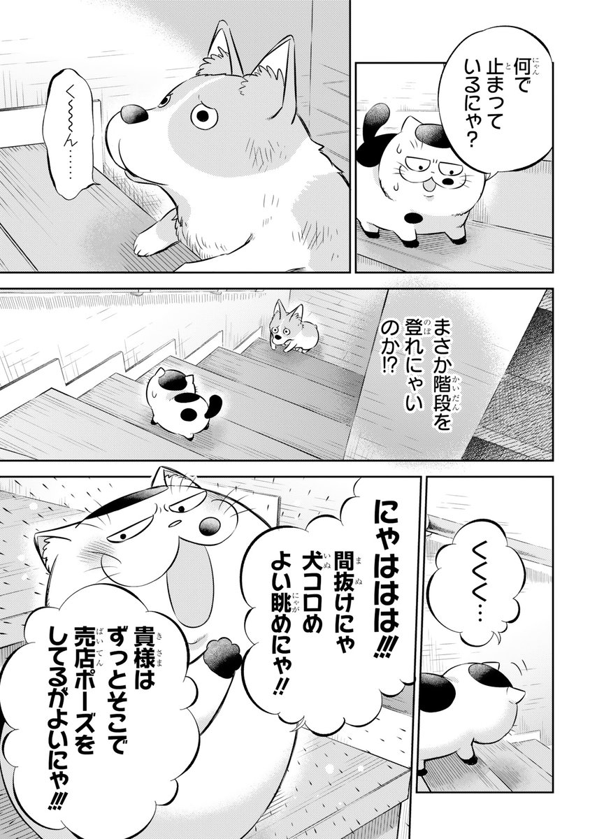 FtuGfmTaIAEeQ1Q.jpg FtuGfmTaIAEeQ1Q.jpg