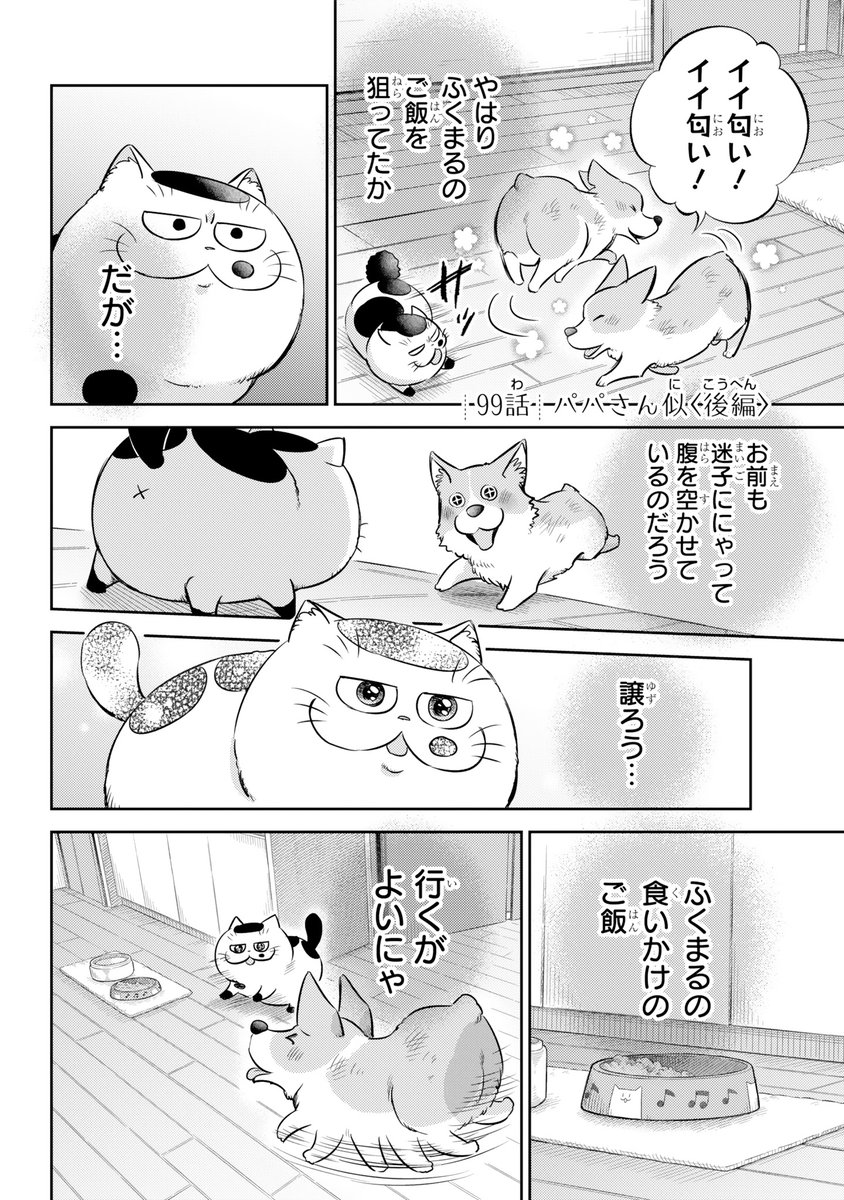 桜井海@おじ猫11巻☆発売中! on Twitter: