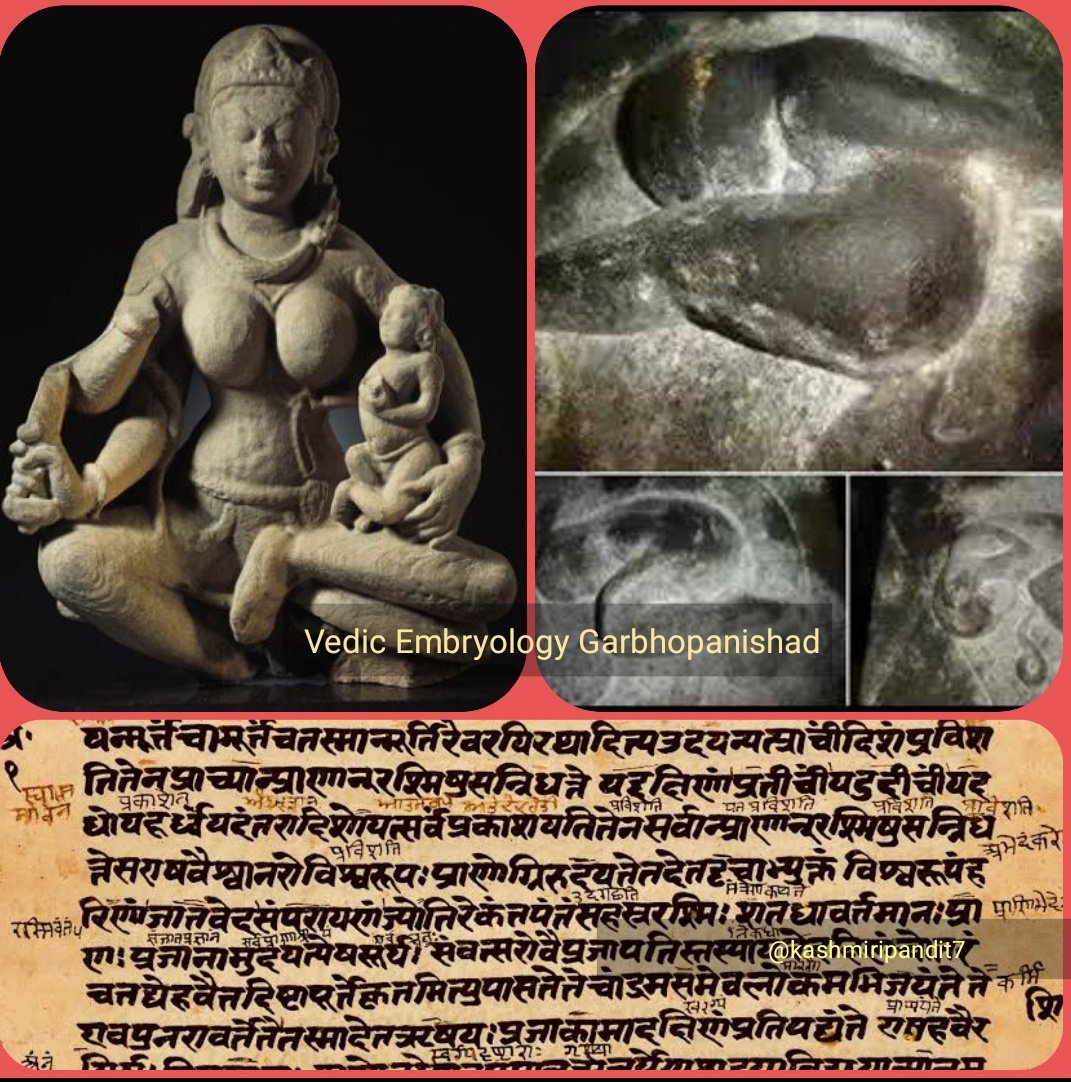 #GarbhaUpanishad defined #StagesofFoetus 2500+ yrs ago
Day 15: Solid Mass
Month 2: Head Forms
Month 3: Feet Grows
Month 4: Belly & Hip
Month 5: Backbone
Month 6: Nose, Eyes
Month 7: Consciousness
Month 8: Complete
West found #PregnancyStages just few decades ago #BuzTak