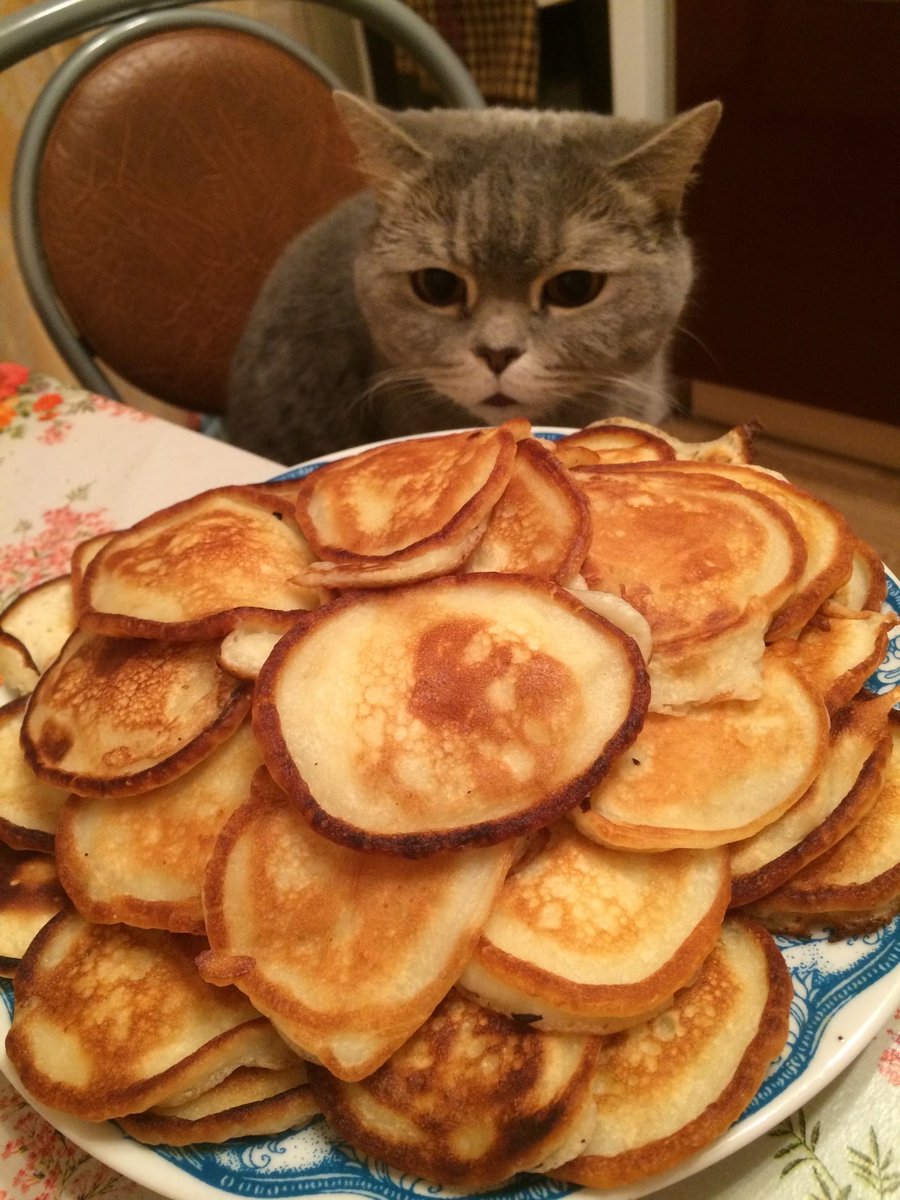 kitty got cakes
