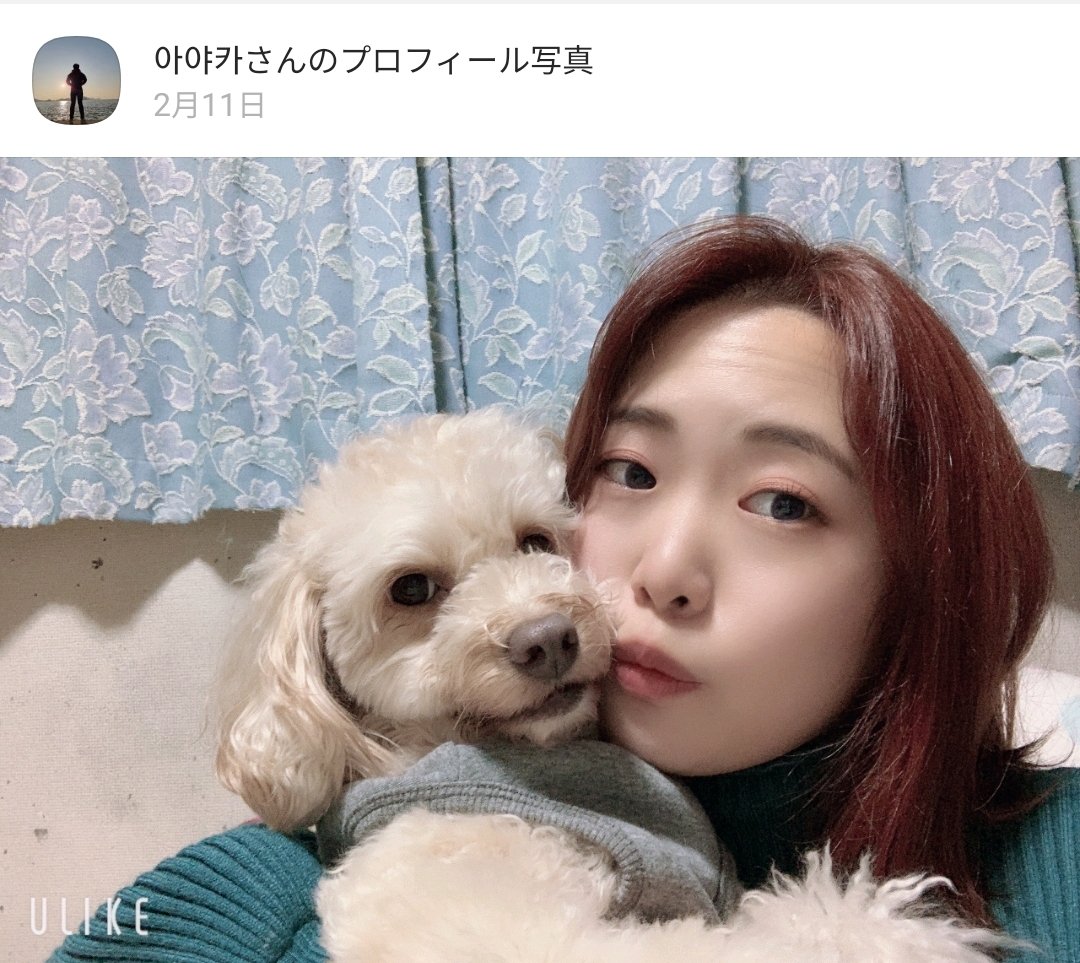 dongsunida's tweet photo. 진짜 본인 사진인지 뭔지도 모르겠지만
카톡 프사 바꿀 시간에 송금이나 해라 사기꾼아
#티켓양도 #콘서트 #양도사기 #리트윗이벤트 이거 널리 퍼져서 이 인간 돈 돌려주면 리트윗 이벤트로 치킨 드릴게요~ 
@9_jn397 https://t.co/gLQGfHGzKJ