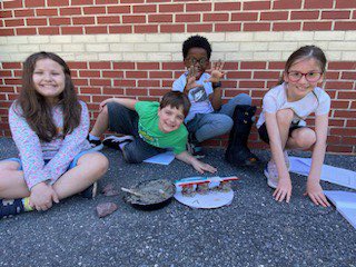 CCPS_SGE's tweet photo. Second grade STEM bridge projects were awesome! https://t.co/w8HZu130vk