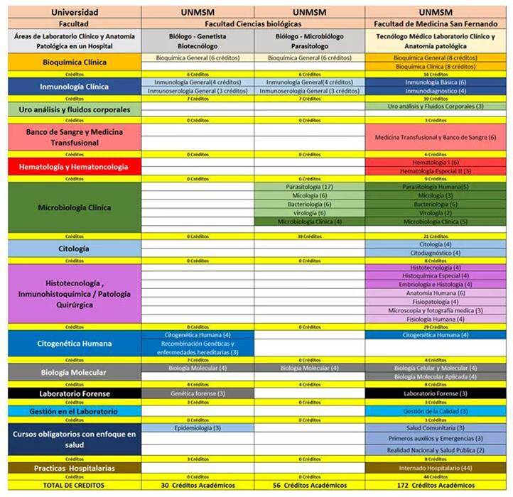 Jefrey Kevin Nickl Vilcapoma tweet media