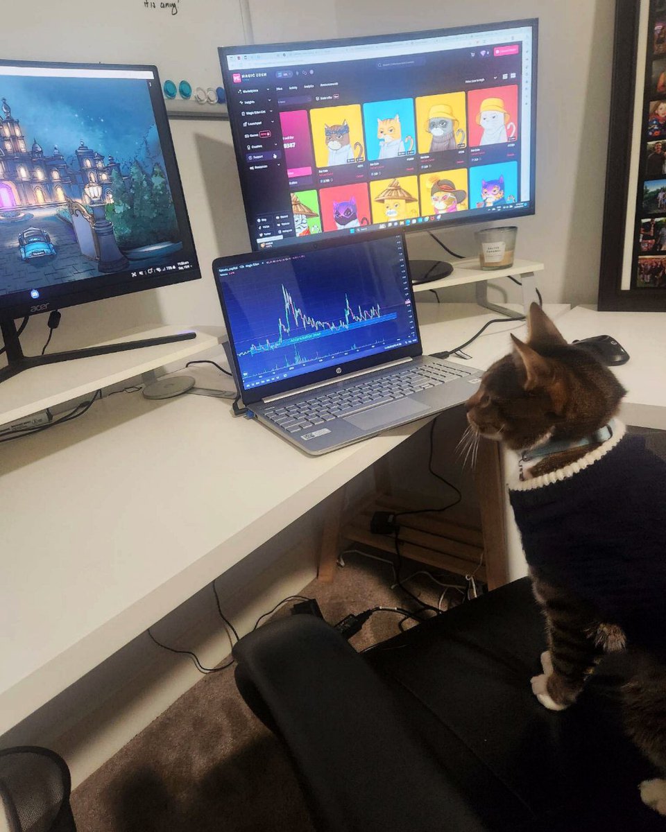 cat_whales's tweet photo. How did I become a @FatCatsCapital Whale? This is how.
My cats a better investor then me, he knows what's coming!
πππ₯π₯
#fatcats #Leothecryptocat #whale #nftguru https://t.co/BjNjhtaGcj