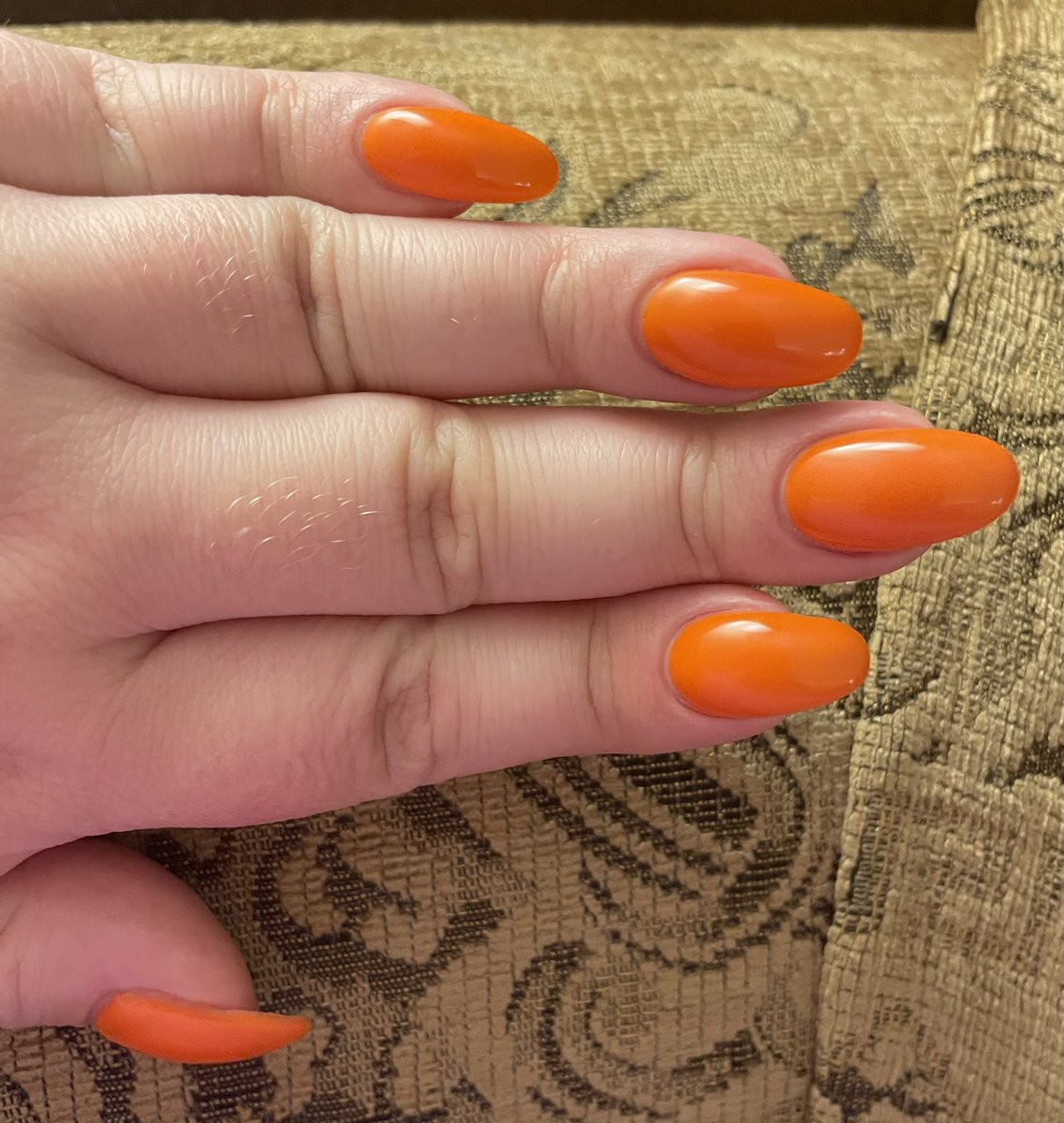 bonlrisch's tweet image. New color and a new fill!

I’m due for a new set of acrylics in 2 weeks per my nail guy Derrick, but I LOVE this color!

Color: Silicon Valley Girl from @OPI_PRODUCTS 2023 Spring Collection! 

#OPI #ColorIsTheAnswer #SiliconValleyGirl