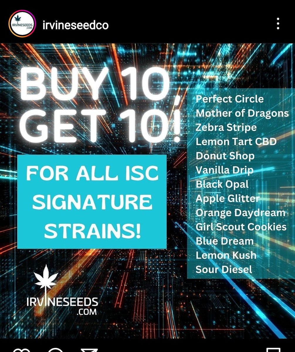 kingwheez's tweet photo. Yoooo check out the gromies @irvineseedco gotta a fire ass deal...wooooo. How many of these cultivars have you grown??? https://t.co/F0Qq8Rr62Y