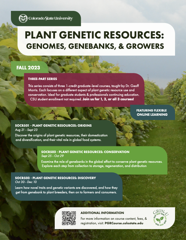 Online courses on Plant Genetics Resources: Origins, Conservation, and Discovery -> Fall 2023 🫒🌾🌽🥑🍓🍉🥕 For grad students, upper-level undergrads, and professionals. Sign-up now! pgrcourse.colostate.edu @CropImprovement @Sorg_Millet_Lab @CSUAgSci @USDA_ARS