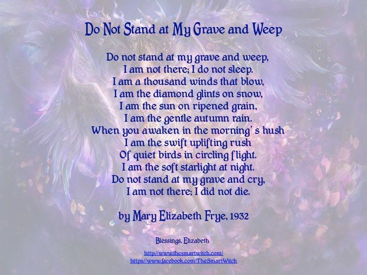 <a href="/Stacey5899/">🐾Stacey🐾</a> <a href="/lidwig/">fanny morton</a> Rest in gentlest stardust, sweetest Bandit, with all the others - until reunited!