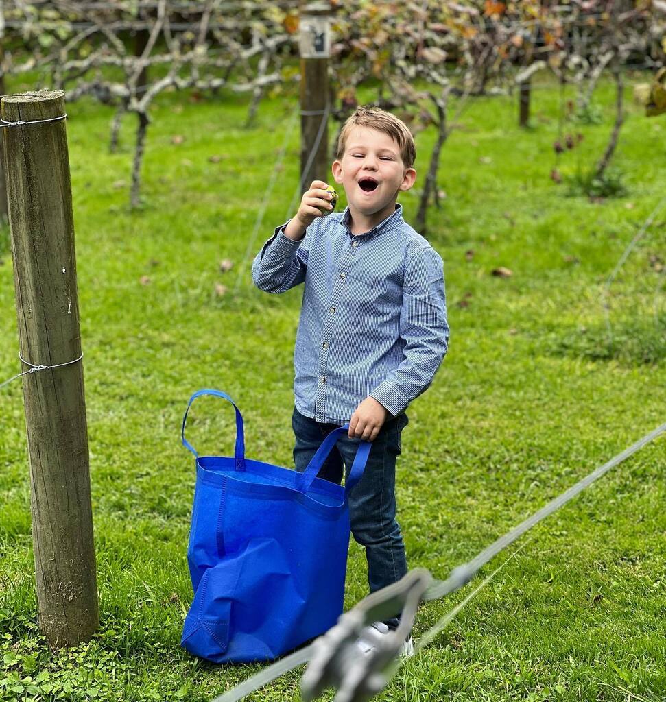 willowbrookpark's tweet photo. Easter egg hunt….
.
.
.
#easter #eastereggs #egghunt #easteregghunt #toddlerlife #kidsofinstagram #lordcowell #willowbrookparknz #vineyard https://t.co/SlZvBFFnp8 https://t.co/Q73Rus6PPS
