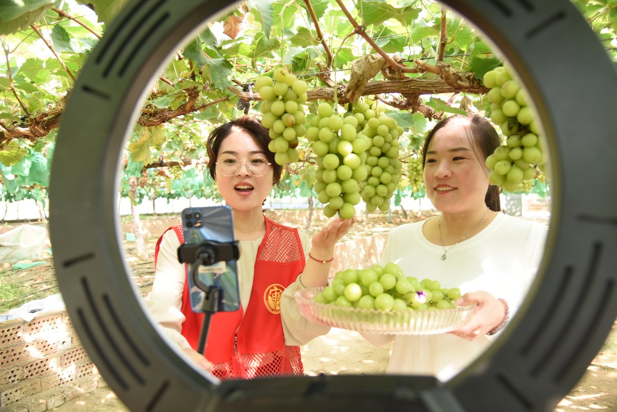 IPRinCN's tweet photo. 🏕️🍇#China vows to further strengthen #GIuse and protection, in a bid to contribute to #ruralrevitalization. It plans to launch preferential policies and provide business guidance to help turn GI resources into assets of brands and industries.💰📈 #ChinaGIproducts #GIprotection https://t.co/Fbrownh1Ol