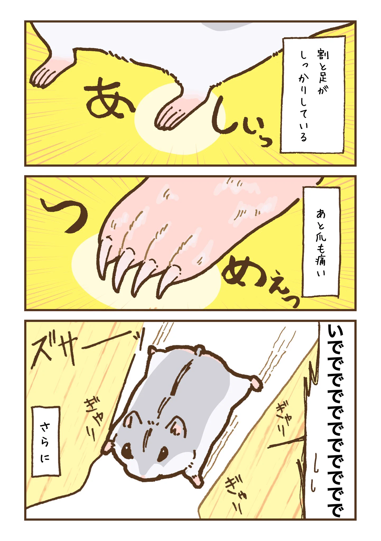 ハムスターの持ち心地は想像と違った？！ふわっふわなのだろうと思っていたけれど実際は･･･！