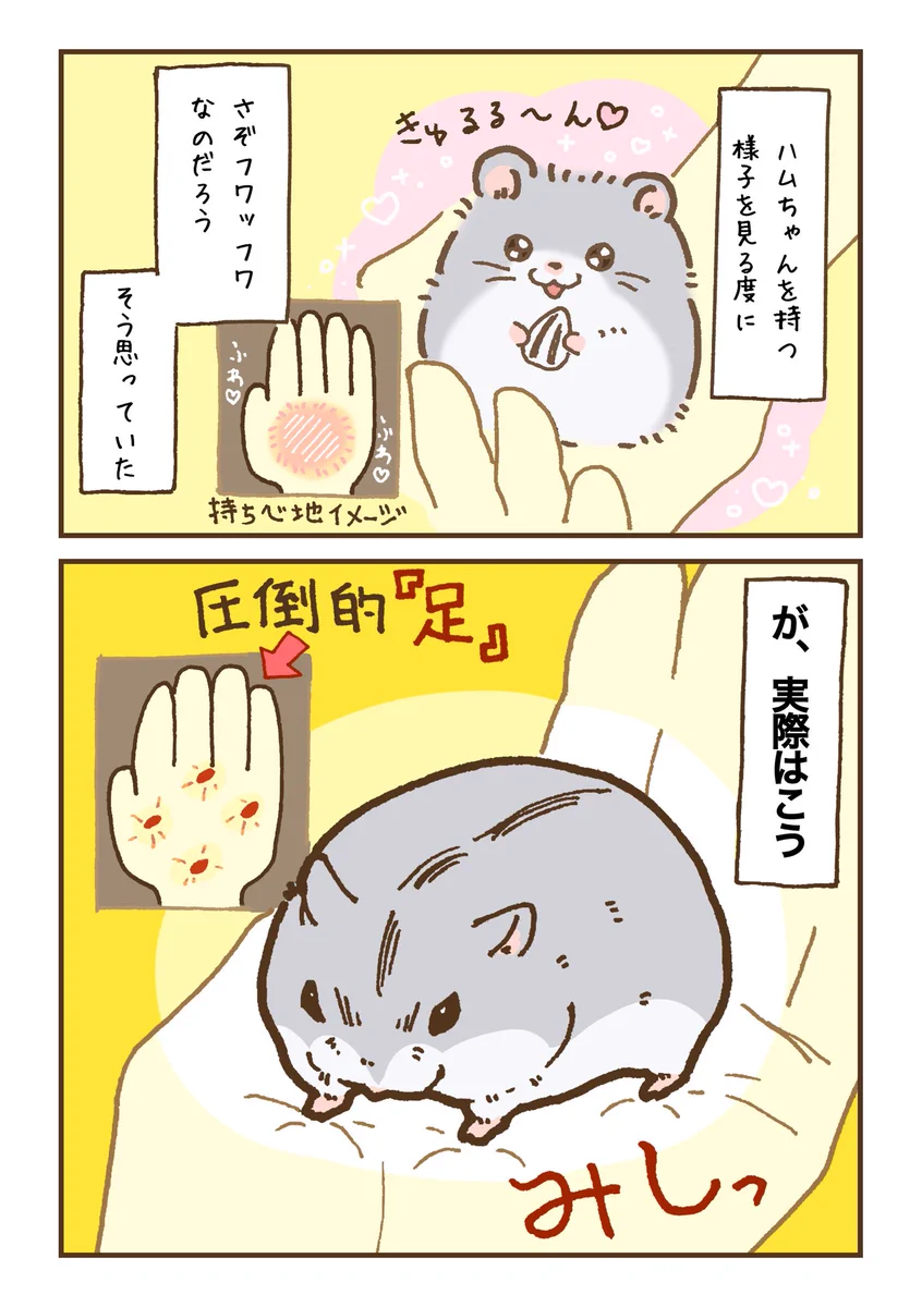 ハムスターの持ち心地は想像と違った？！ふわっふわなのだろうと思っていたけれど実際は･･･！