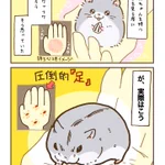 ハムスターの持ち心地は想像と違った？!ふわっふわなのだろうと思っていたけれど実際は･･･!