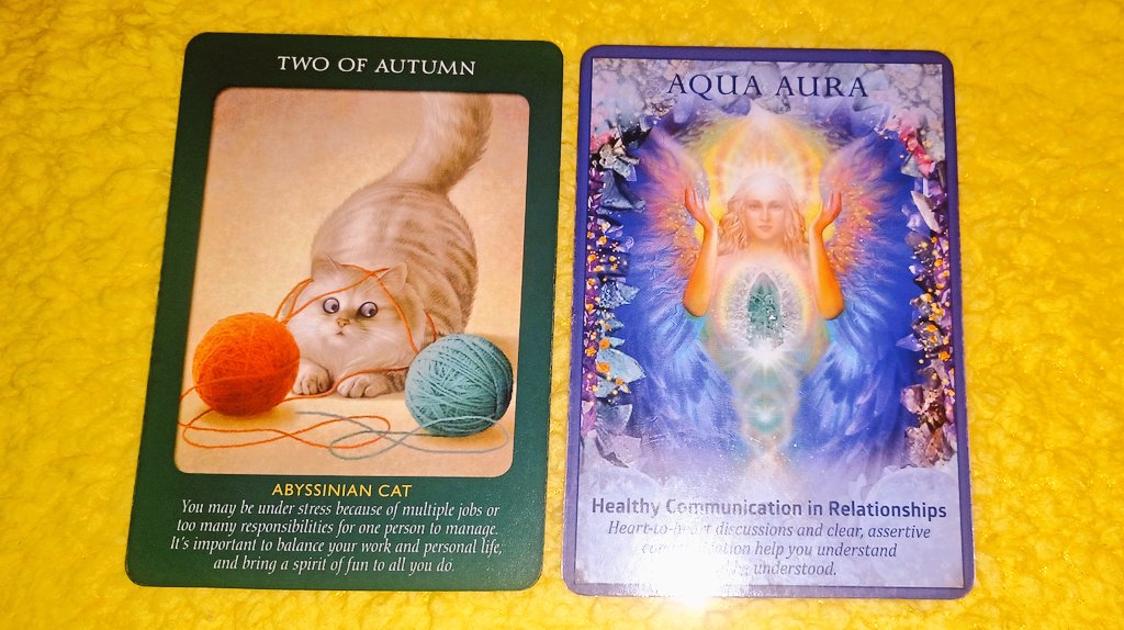 EmpressStrong25's tweet photo. #15April2023: 🌘 #Dhanishta♒ #2ofPentacles🪙 There are those of us who realise our imbalance in one area of our lives and seek to work it out with others, whilst others behave vice versa. Either way, this #Moon🌙 brings a big undercurrent of goodwill beneath misunderstandings. https://t.co/LNAs9p6Rk7